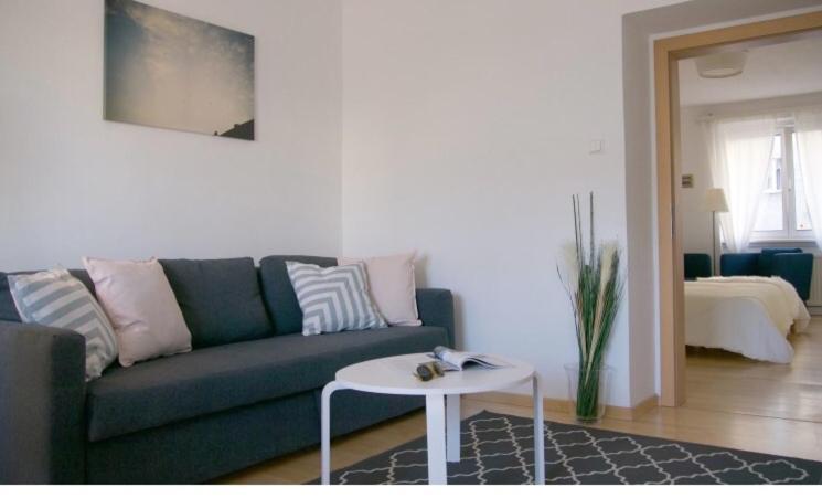 Spacious 2Rooms In The Center فيينا المظهر الخارجي الصورة